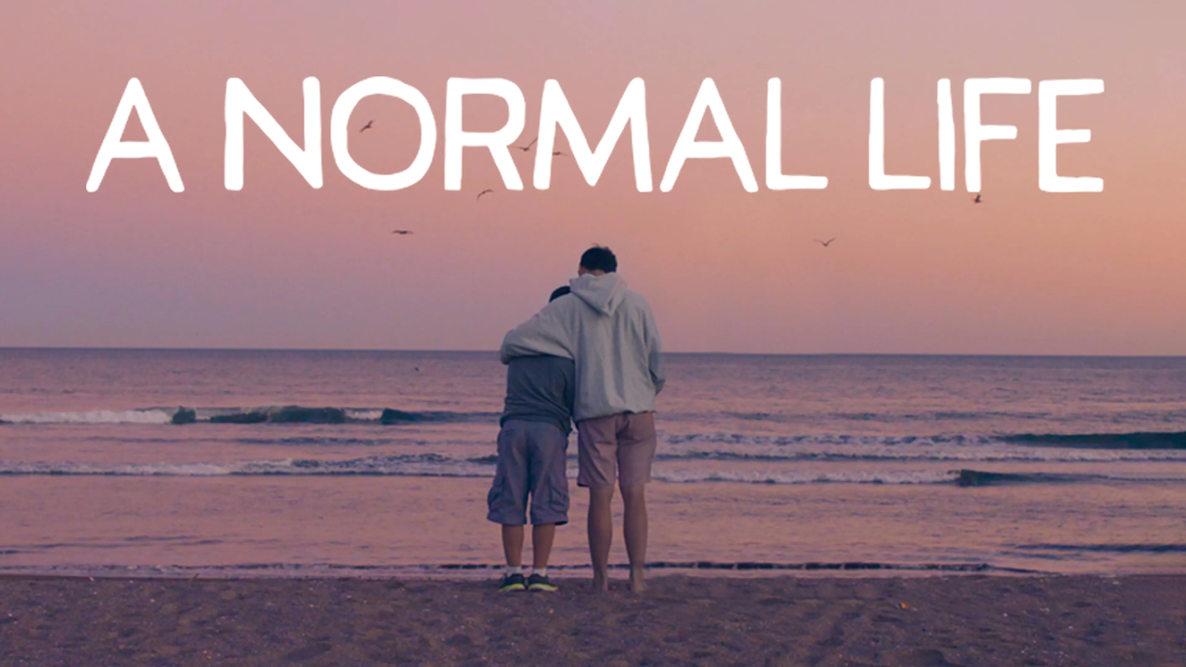 A Normal Life poster
